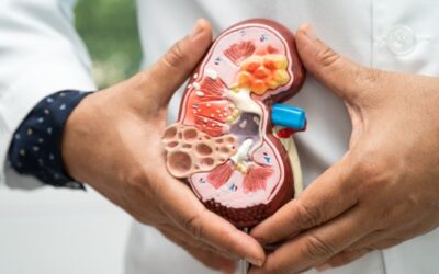 Remedy Gallbladder Stones 